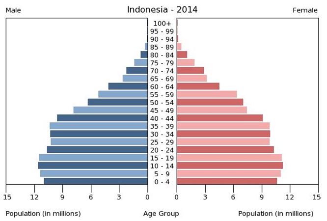 Population Pyramid; Source: the World Factbook
