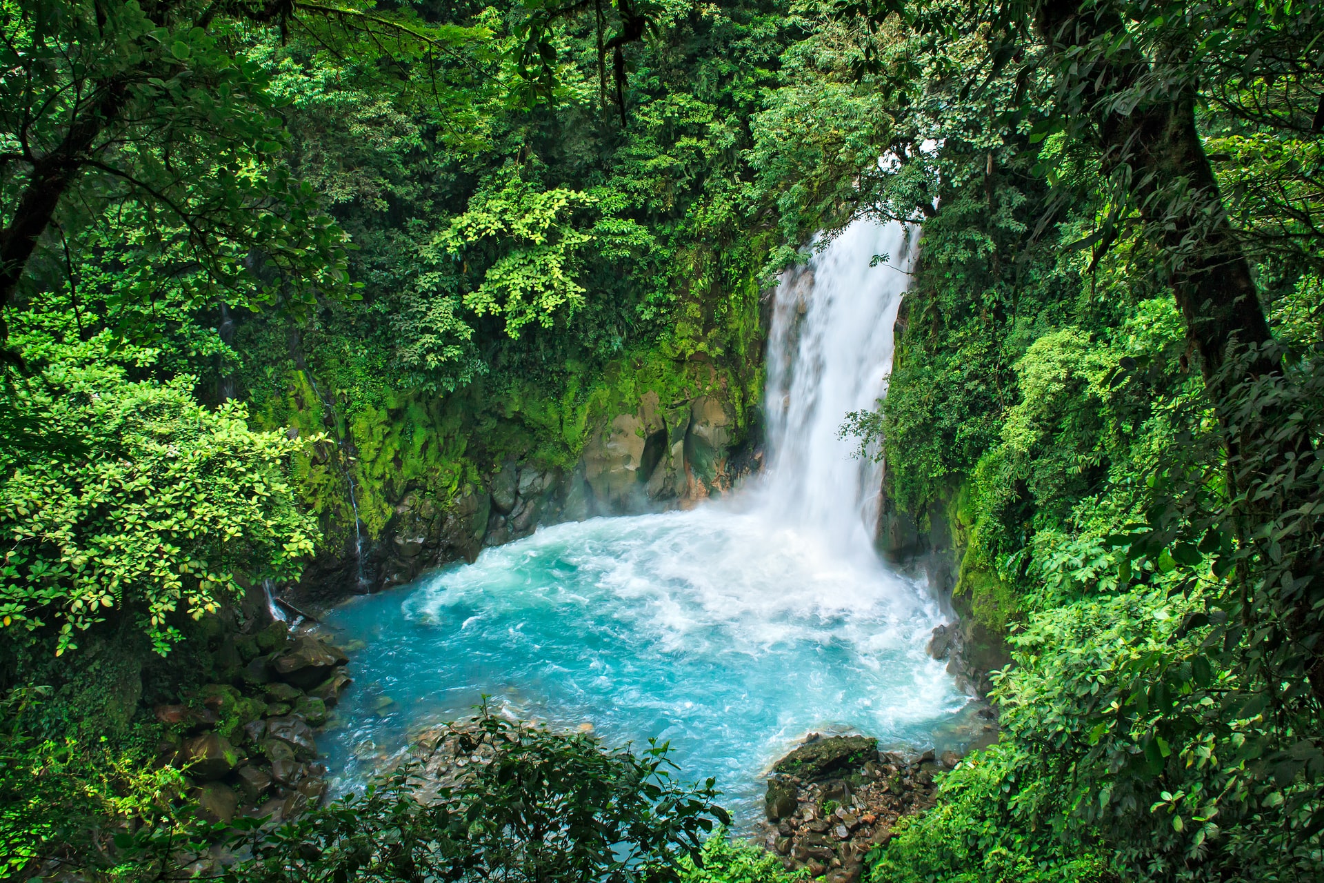 Costa Rica Costa Rica Waterfall in the middle of a green forest