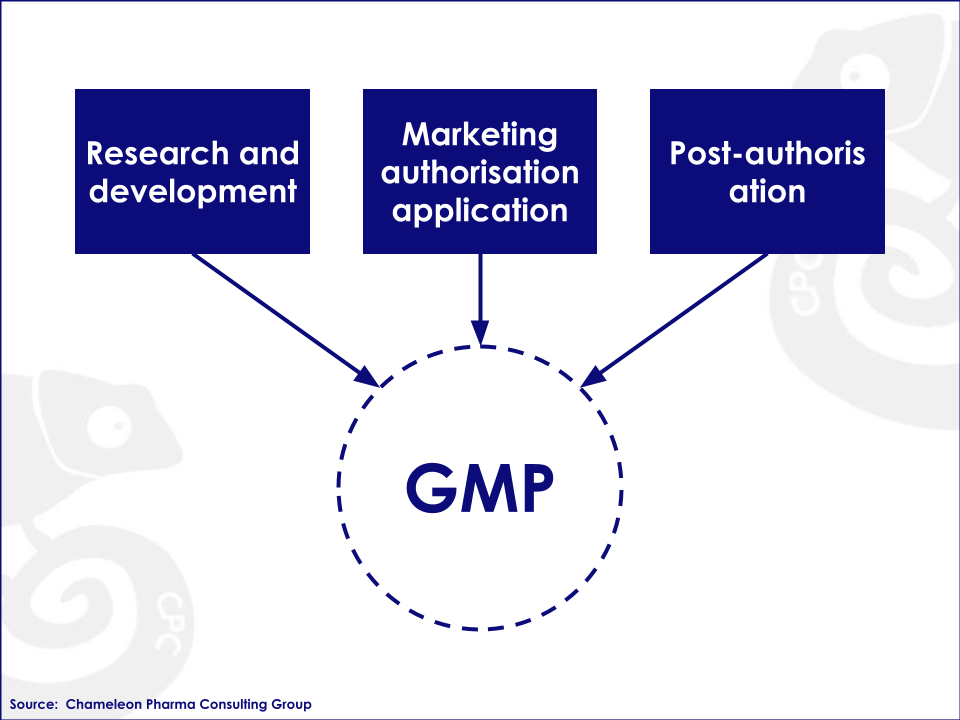 Components of GMP: R&D, Market Authorization application, Post-authorization