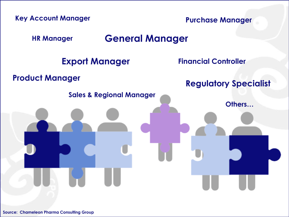 Infographic with different management positions: Key Account Manager, HR Manager, GM, Purchase Manager, Export Manager, Financial Controller, Product Manager, Regulatory Specialist, Sales and Regional Manager and others
