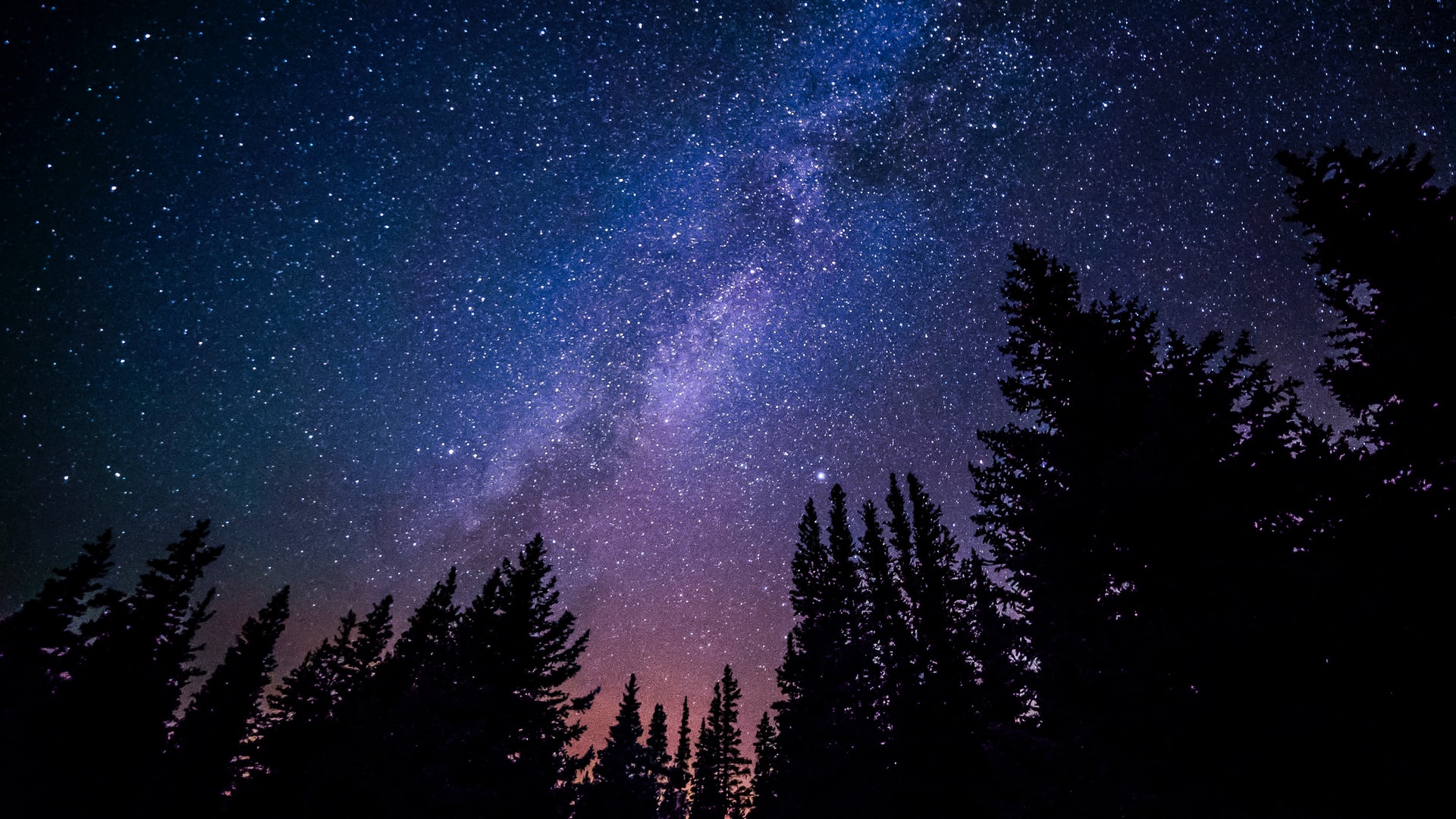 view of the sky by night with trees and stardust