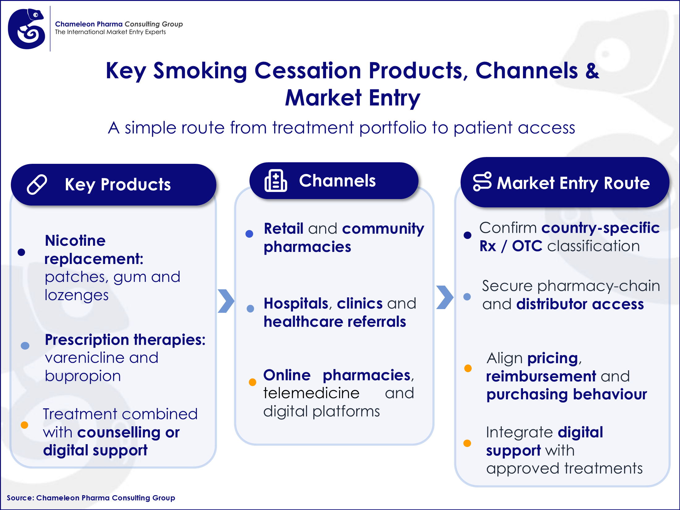 infographic on Key Smoking Cessation Products, Distribution Channels and Market Entry Considerations