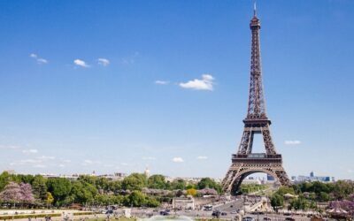 The French OTC and Pharma Market: Opportunities and Trends