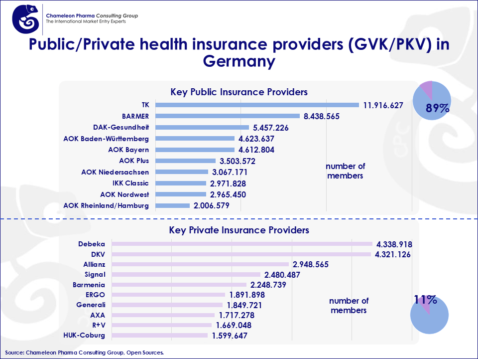 Figure 2: Overview of the leading public/private health insurance providers in Germany.