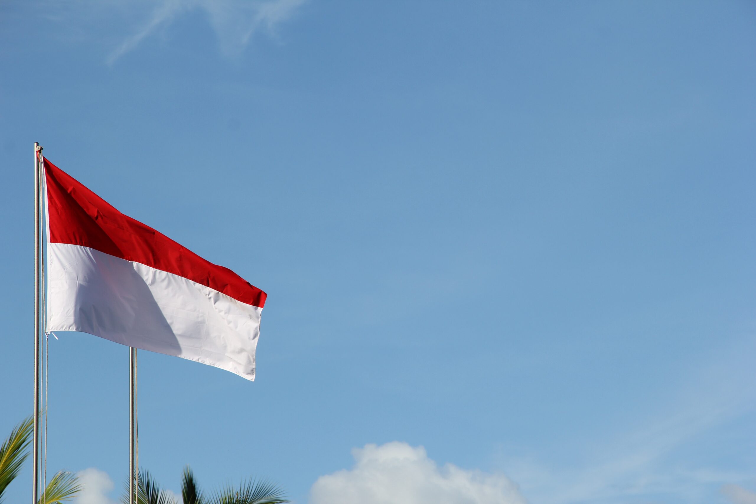 indonesia OTC and Rx market - flag Indonesian flag