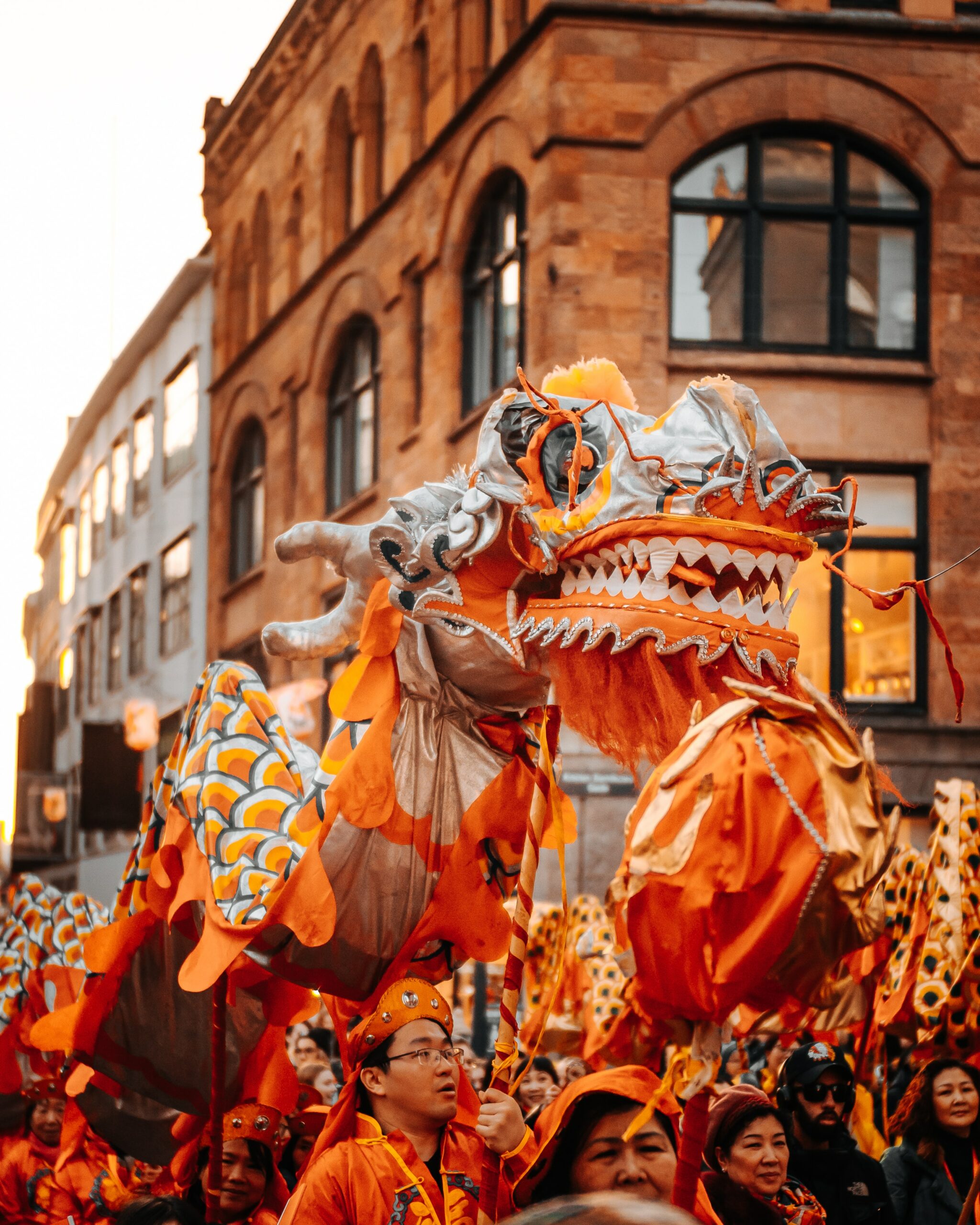 Orange Chinese Dragon about to do the Dragon Dance for Chinese New Year's