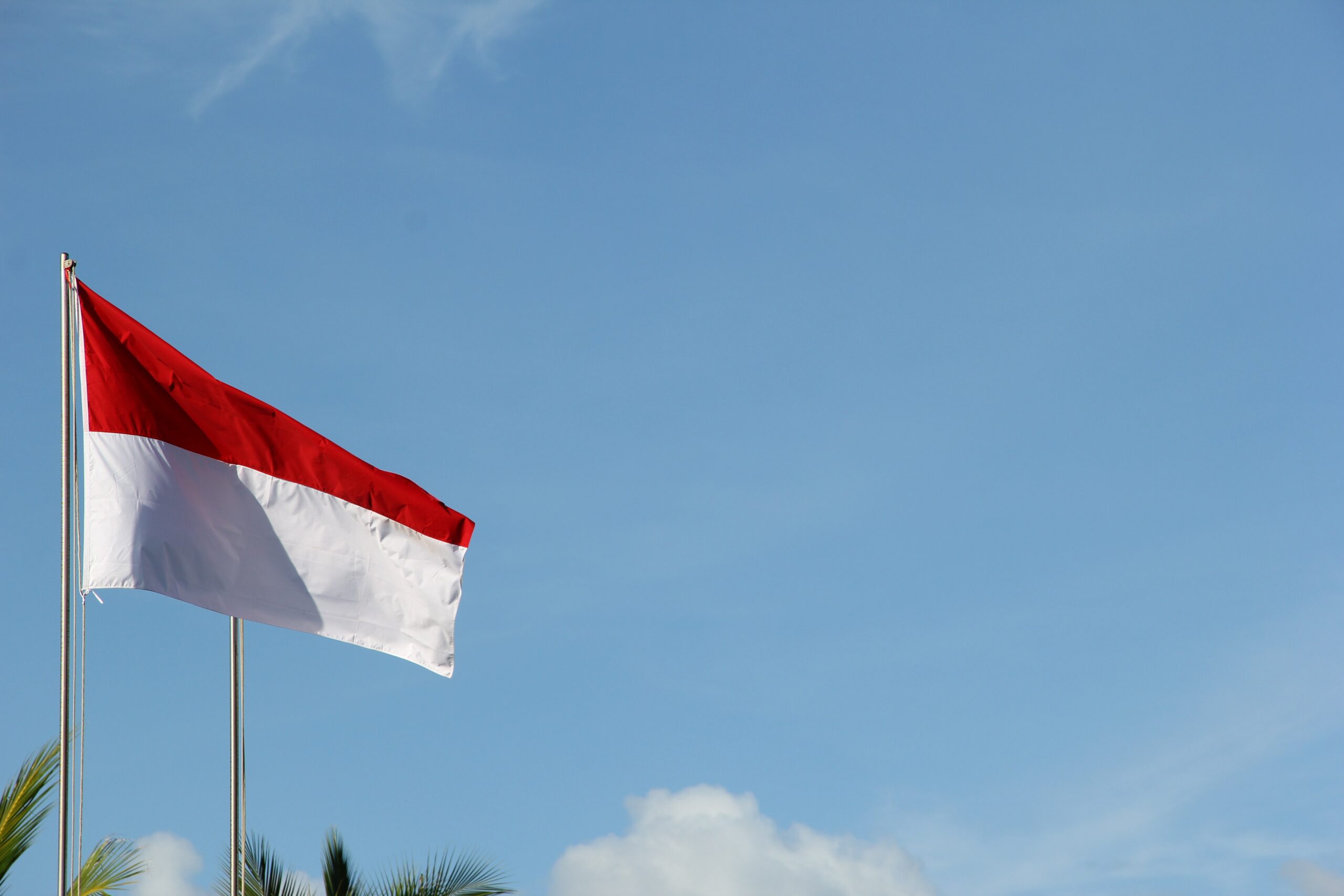 Indonesian flag in the wind