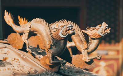 Pharma & OTC Regulatory Reforms in China – New Chances or Challenges?